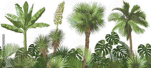 Materiał do szycia Vector Tropical palms, plants, leaf, foliage, monstera