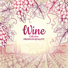 Wall Mural - wine background. grapes leaves branch bottles corkscrew symbols for frame restaurant menu vector des