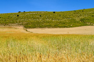 Canvas Print - Andalucia. Spain.