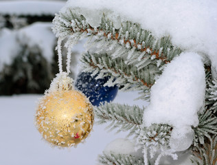 Golden New Year ball on live fir-tree with frost and snow.