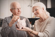 © Proxima Studio - Senior couple puts the coin into the piggybank