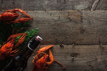 Wall Mural - Top view of red lobsters, dill and bottle with beer on wooden surface