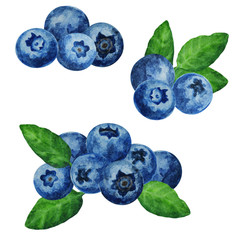 Set of ripe blueberries with leaves, hand drawn watercolor illustration.