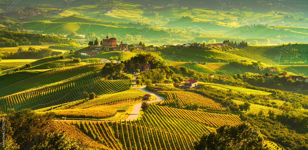 Langhe vineyards sunset panorama, Grinzane Covour, Piedmont, Italy Europe. - obrazy, fototapety, plakaty 