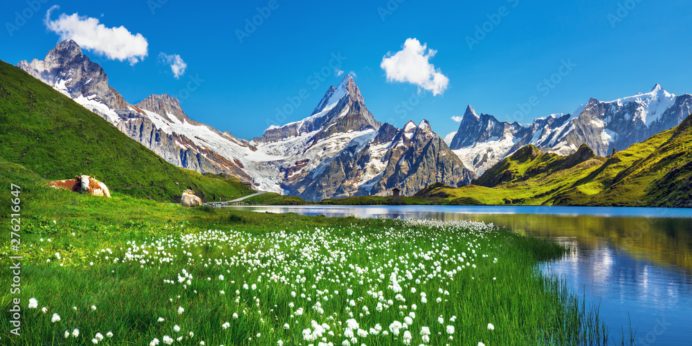 Scenic view on Bernese range above Bachalpsee lake. Popular tourist attraction. Location place Swiss alps, Grindelwald valley, Europe.  - obrazy, fototapety, plakaty 