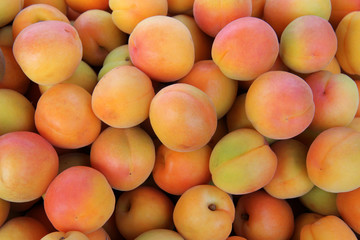 many fresh apricots top view
