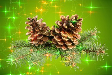 Wall Mural - pine cones with a branch on a green background.