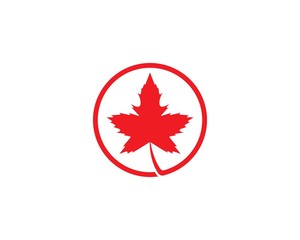 oak leaf logo template vector illustration