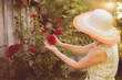 © Mihail - adult female florist working with flowers in the garden with flowers