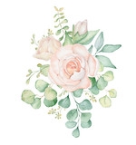 Fototapeta Kwiaty - Pink roses flowers and eucalyptus leaves watercolor bouquet illustration