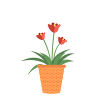 Red Flowers In Pot Isolated Garden Cultivation Plants. Vector Tulip Or Begonia Blooming, Tree Buds With Leaves In Clay Flower-pot, Cartoon Style