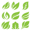 canvas print picture - leaves icon set, leaf design for natural and green logo concept.