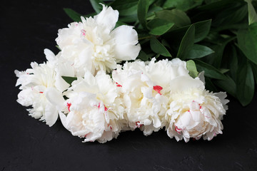 Wall Mural - White peonies on dark background. Wedding, gift card, valentine's day or mothers day background.