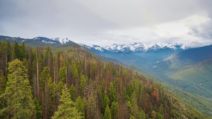 Wall Mural - view of mountains