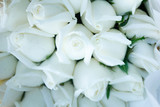 Fototapeta Tulipany - wedding rings on a bouquet of white roses