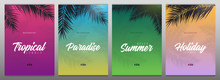 Set Of Summer Tropical Palm Leaves. Exotic Palms Tree. Floral Backgrounds.