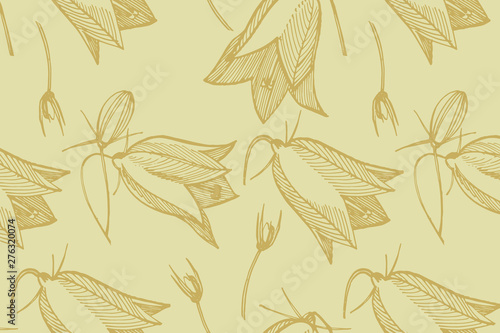 Collection of hand drawn flowers and plants. Botany. Set. Vintage flowers. Bl...