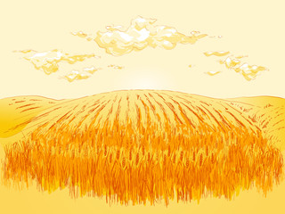 Wall Mural - Rural landscape field wheat. Hand drawn vector Countryside landscape engraving style illustration.