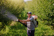 Caucasian mature peasant in working clothes, hat and with modern pesticide spray machine on backs spraying bugs in orchard.