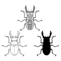 Wall Mural - Stag-beetles graphic illustration set