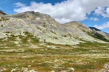 Wall Mural - Rondane in Norway