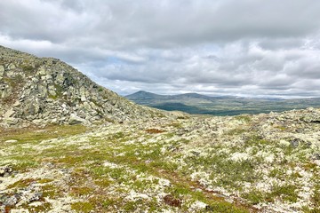 Wall Mural - Rondane in Norway