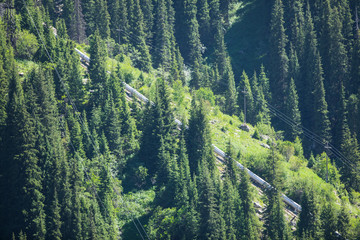 oil pipeline in mountain forest area