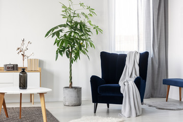 Wall Mural - Grey blanket on navy blue armchair in bright living room interior