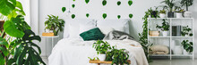 Panoramic View Of White And Green Bedroom With King Size Bed And Urban Jungle