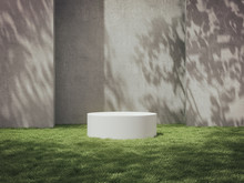 Pedestal For Display,Platform For Design,Blank Product Stand On Lawn With Trees Shadow On The Wall .3D Rendering.