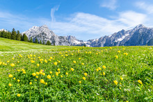 Summer Alps Landscape With Flower Meadows And Mountain Range In Background. Photo Taked Near Walderalm, Austria, Gnadenwald, Tyrol Region