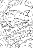 Fototapeta Dinusie - Coloring book, Spinosaurus