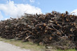 © mmk - pile of wooden logs