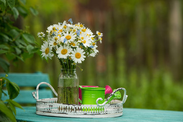 Marguerite flowers bouquet on a garden table