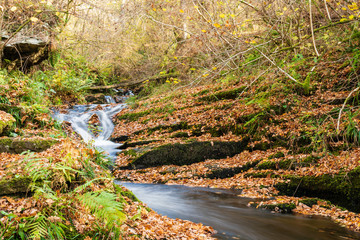 Sticker - Edradour Burn just above where it becomes the Black Sprout Waterfall, just outside Pitlochry, Scotland