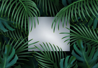 Wall Mural - branch palm realistic. leaves and branches of palm trees. tropical leaf background. green foliage, t