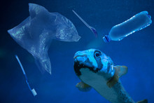 Ban Plastic Pollution On Sea. Plastic Waste At The Bottom Of The Ocean Swims With Fish