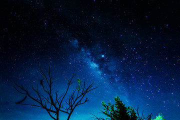 Wall Mural - noise,milky way galaxy with stars and space in the universe background at thailand