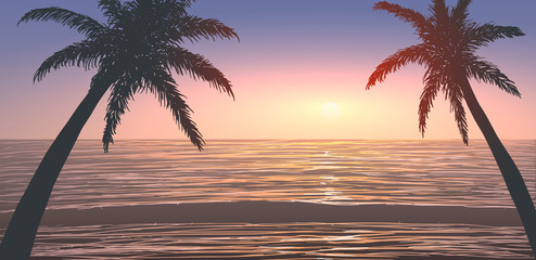 Wall Mural - Palm trees on ocean shore at sunset