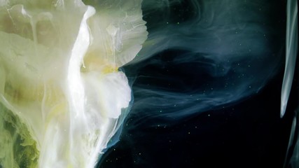 Wall Mural - White peony flower. Colorful ink in water.