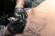 © Pixel-Shot - Professional artist making tattoo in salon, closeup