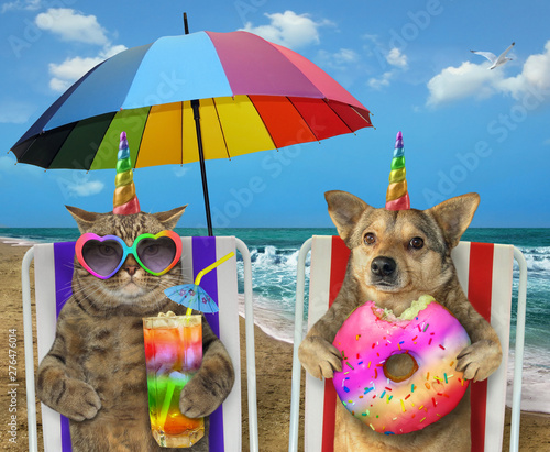 The Dog With A Donut And The Cat With A Glass Of Colored