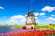 Colorful spring landscape in Netherlands, Europe. Famous windmill in Kinderdijk village with a tulips flowers flowerbed in Holland. Famous tourist attraction in Holland