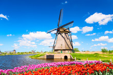 Colorful Spring Landscape In Netherlands, Europe. Famous Windmill In Kinderdijk Village With A Tulips Flowers Flowerbed In Holland. Famous Tourist Attraction In Holland