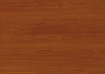 Wood oak tree close up texture background. Wooden floor or table with natural pattern. Good for any interior design