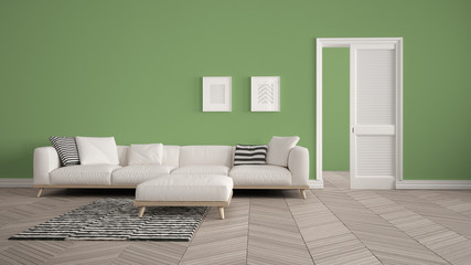 Modern living room with white sofa and carpet, green wall background with open door, herrigbone parquet, template background with copy space, interior design concept idea