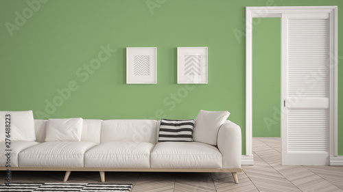 Modern Living Room With White Sofa And Carpet Green Wall
