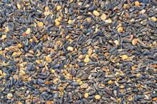 Background Texture Of Crushed Seed And Grain Mix For Livestock And Bird Feed
