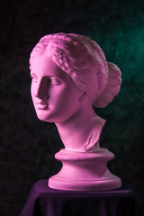 Gypsum copy of ancient statue Venus head on a dark green textured background. Plaster sculpture woman face.