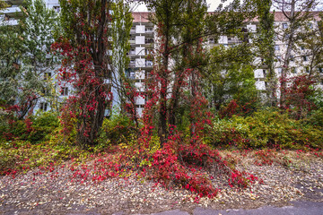 Sticker - Apartment house in abandoned Pripyat city in Chernobyl Exclusion Zone, Ukraine